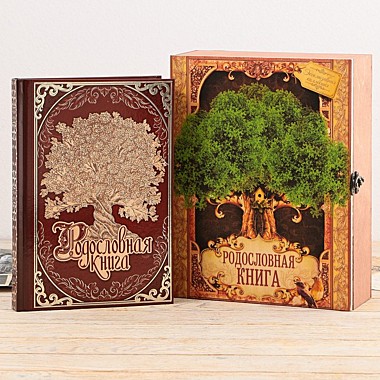 Родословная книга в шкатулке 